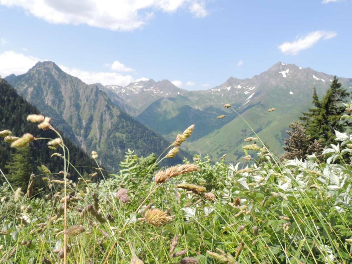 Studio Pour 4 Personnes Au Centre De Cauterets, Proche Telecabines Et Thermes - Fr-1-234-269 Eksteriør bilde